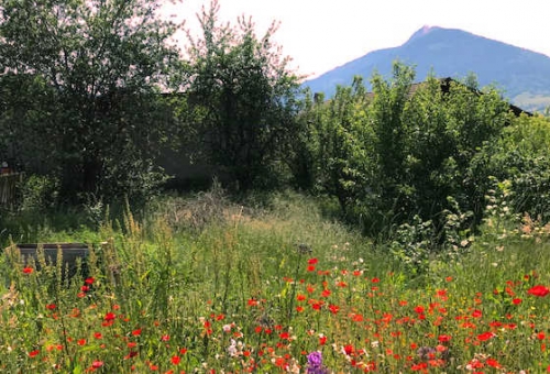 Vente Terrain