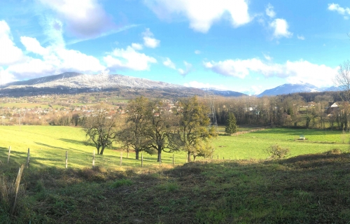 Vente Terrain