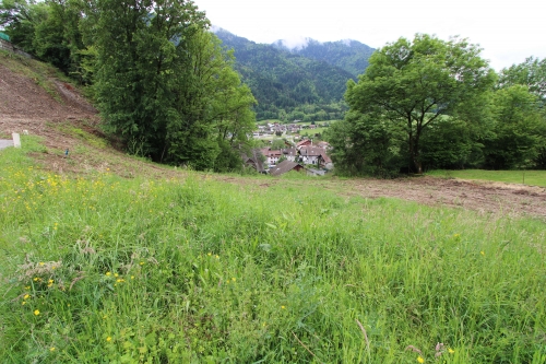 Vente Terrain